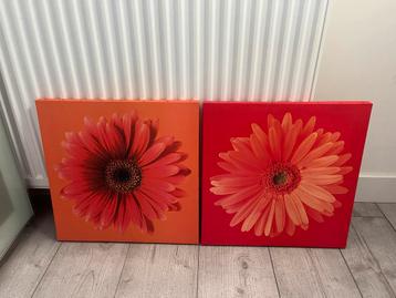 gratis 2 schilderijtes bloemen rood en oranje beschikbaar voor biedingen