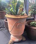 3 Leeuwenkoppen oude terracotta onder een grote bloempotten, 40 cm of meer, Rond, Zo goed als nieuw, Terracotta