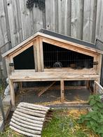 Konijnen met kooi, Dieren en Toebehoren, Meerdere dieren, Klein, 0 tot 2 jaar