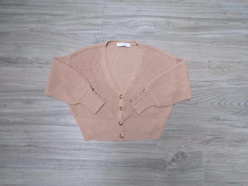 Rino & Pelle Gebreid Vestje - Maat M - Beige met Lichte Glit, Kleding | Dames, Truien en Vesten, Zo goed als nieuw, Maat 38/40 (M)