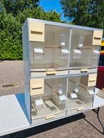 Meerdere  blokken  van 4 gehu broed kooien, Dieren en Toebehoren, Vogels | Hokken en Kooien, Ophalen, Zo goed als nieuw, Hout