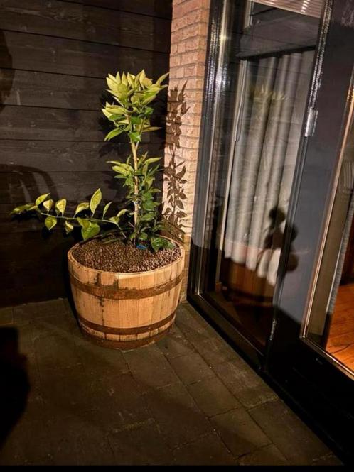Eikenhouten bloembak, Tuin en Terras, Bloembakken en Plantenbakken, Zo goed als nieuw, Hout, 60 tot 100 cm, Rond, Ophalen