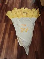Carnavalspak puntzak friet. Verkleedkleren, Ophalen of Verzenden, Jongen of Meisje