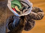 Kattenspullen., Dieren en Toebehoren, Ophalen, Overig speelgoed