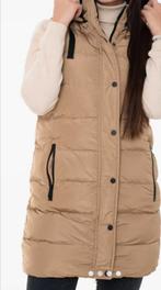 Rino & Pelle bodywarmer met afritsbare capuchon 40, Kleding | Dames, Bodywarmers, Ophalen of Verzenden, Zo goed als nieuw, Maat 38/40 (M)