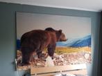 Groot Wanddoek - Beer - 136x205 cm, Huis en Inrichting, Ophalen
