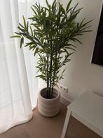Kunstplant Bamboe - Karwei, Ophalen, Zo goed als nieuw, Binnen