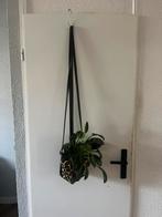 Maruti Planten hanger panter print, Minder dan 50 cm, Verzenden, Rond, Zo goed als nieuw