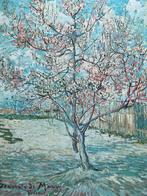 VINCENT VAN GOGH. —  SOUVENIR DE MAUVE., Ophalen of Verzenden