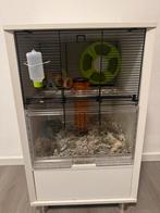 Hamster kooi, Kooi, Minder dan 75 cm, Zo goed als nieuw, Hamster