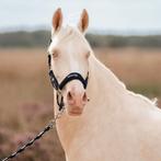 Nieuw Horka halsterset Precious Navy maat Pony,Cob,Full, ., Ophalen of Verzenden, ., .