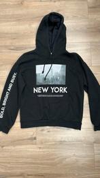 Hoodie, Ophalen of Verzenden, Zo goed als nieuw, Zwart