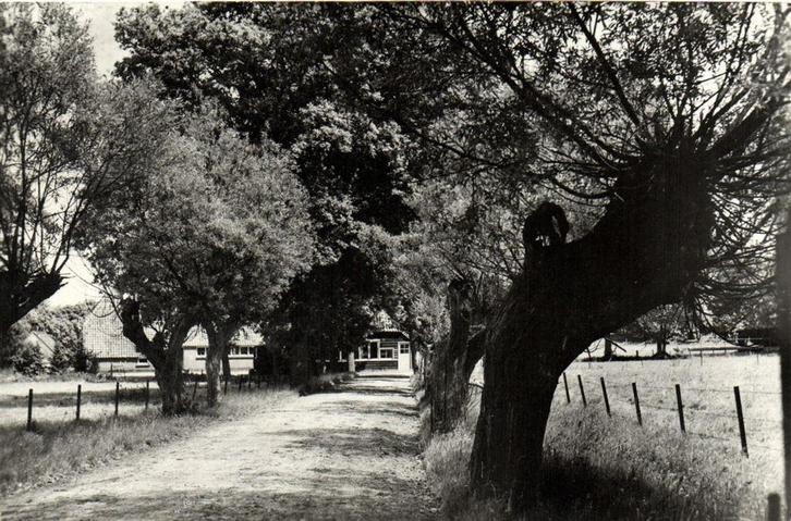 Omgeving Eikenhoeve, Vierhouten - gelopen, Verzamelen, Ansichtkaarten | Nederland, Gelopen, Noord-Brabant, Voor 1920, Ophalen of Verzenden