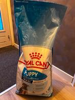 Voer puppy, Dieren en Toebehoren, Dierenvoeding, Ophalen of Verzenden, Hond