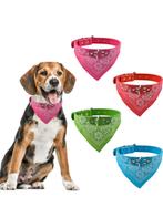 Halsband 4 kleuren incl bandana (dus set van 4), Ophalen of Verzenden, Nieuw, Hondenhalsdoek