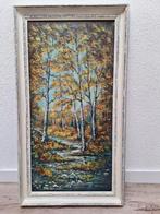 Schilderij, voorstelling bos/bomen/water, Ophalen of Verzenden