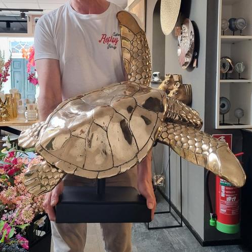 Schildpad beeld messing goud op standaard, Antiek en Kunst, Kunst | Designobjecten, Ophalen of Verzenden