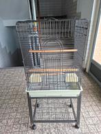 Papagaaien kooi nieuw., Dieren en Toebehoren, Vogels | Hokken en Kooien, Ophalen, Nieuw, Metaal, Vogelkooi