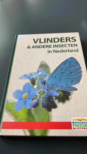 Vlinders en andere insecten in nederland beschikbaar voor biedingen