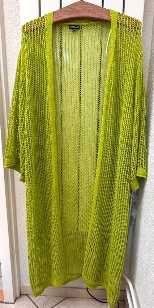 NIEUW Exxcellent lang vest maat 50/52, Kleding | Dames, Grote Maten, Nieuw, Trui of Vest, Groen, Ophalen of Verzenden