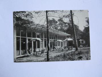 Ansichtkaarten Nederland, TRC 10-39 Zeist, Terras van het HD beschikbaar voor biedingen