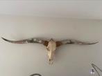 Longhorn, Ophalen of Verzenden, Zo goed als nieuw, Wild dier, Schedel