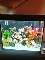 Aquarium Juwel Lido 200 met toebehoren, Dieren en Toebehoren, Vissen | Aquaria en Toebehoren, Ophalen, Zo goed als nieuw, Leeg aquarium