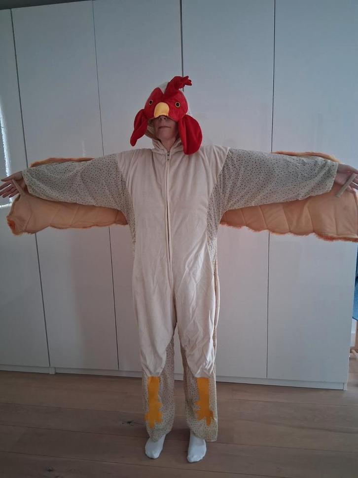 Kleurrijk kippenpak - Carnaval, Kleding | Dames, Carnavalskleding en Feestkleding, Zo goed als nieuw, Kleding, Carnaval, Maat 38/40 (M)