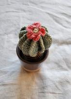 Flower Cactus, Ophalen of Verzenden, Nieuw