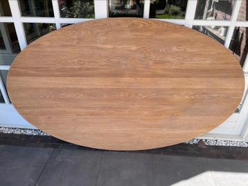 Ovaal eiken tafelblad 249x148x2,6 beschikbaar voor biedingen