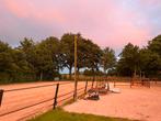 Paarden accommodatie te huur in Marum, Dieren en Toebehoren, Stalling en Weidegang, Weidegang