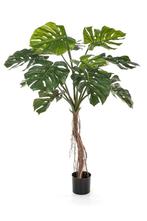 Kunstplant Split Philo Root Tree 130 cm. 51904N, Ophalen, Nieuw, Binnen