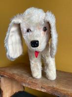 Hond Steiff Cocker Spaniel, Kinderen en Baby's, Speelgoed | Knuffels en Pluche, Hond, Ophalen of Verzenden, Zo goed als nieuw