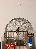 Twa Twa, Dieren en Toebehoren, Ophalen of Verzenden, Hout, Vogelkooi