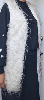 Bodywarmer wit creme maat s, Ophalen of Verzenden, Zo goed als nieuw, Maat 38/40 (M), Wit