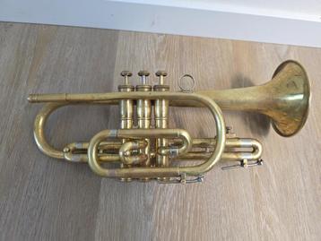 Cornet Olds Ambassador beschikbaar voor biedingen