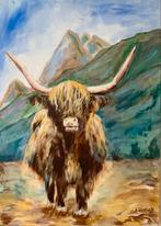 Prachtige ‘Schotse Hooglander’, doek 50x 70 cm, Ophalen of Verzenden