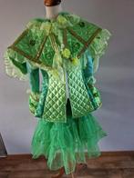 Karnavalskostuum compleet groen Maat 42-46, Ophalen of Verzenden, Nieuw, Maat 42/44 (L), Carnaval