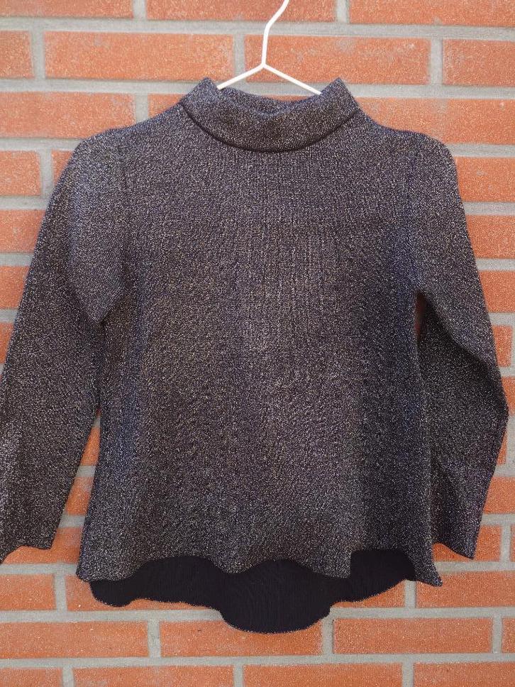 glitter coltrui maat XS, Kleding | Dames, Truien en Vesten, Zo goed als nieuw, Maat 34 (XS) of kleiner, Zwart, Ophalen of Verzenden