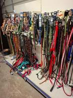 50% korting op alle hondenriemen, tuigjes, manden enz, Ophalen of Verzenden, Nieuw, Hondenriem-accessoire