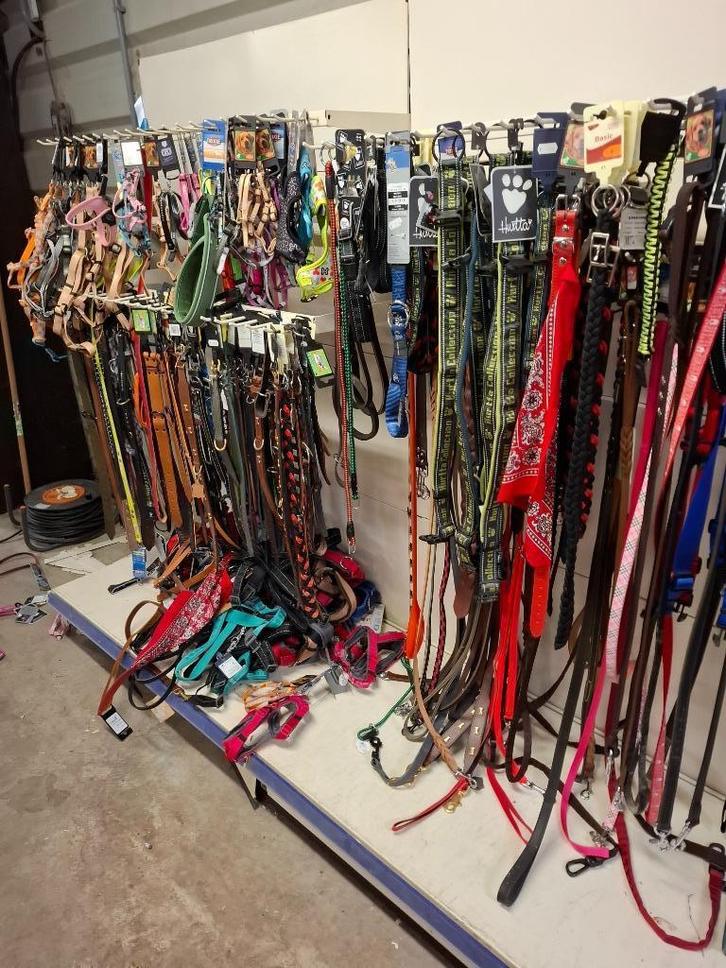 50% korting op alle hondenriemen, tuigjes, manden enz, Dieren en Toebehoren, Hondenriemen, Nieuw, Hondenriem-accessoire, Ophalen of Verzenden