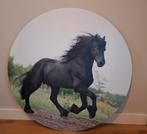 Afbeelding/foto Paard op alluminium (rond), Ophalen of Verzenden, Zo goed als nieuw