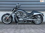 Harley Davidson Chopper VRSCA V-Rod 5HD, 260 ACHTERBAND!, Motoren, Motoren | Harley-Davidson, Chopper, Bedrijf, Meer dan 35 kW