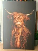 Schotse Hooglander print op canvas, Ophalen, Zo goed als nieuw, Print, 75 cm of meer