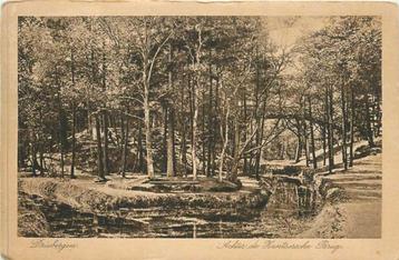 (380-032-027) Driebergen  Zwitsersche Brug beschikbaar voor biedingen