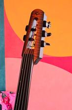 NS Design NXT5a-CO-SB High E Cello + veel Accessoires, Muziek en Instrumenten, Ophalen, Gebruikt, 4/4-cello, Met koffer
