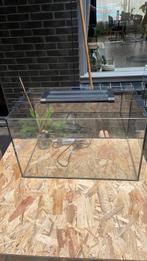Aquarium, Dieren en Toebehoren, Vissen | Aquaria en Toebehoren, Ophalen of Verzenden, Leeg aquarium