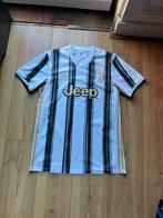 Voetbalshirt Juventus, Sport en Fitness, Voetbal, Ophalen of Verzenden, Zo goed als nieuw, Shirt