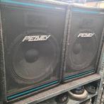 PEAVEY EUROSYS 3 15 inch speaker set


2x, Ophalen, Gebruikt, 120 watt of meer, Overige merken