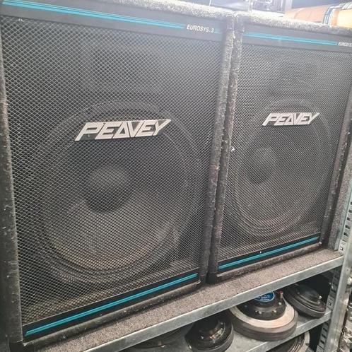 PEAVEY EUROSYS 3 15 inch speaker set


2x, Audio, Tv en Foto, Luidsprekers, Gebruikt, 120 watt of meer, Overige merken, Ophalen